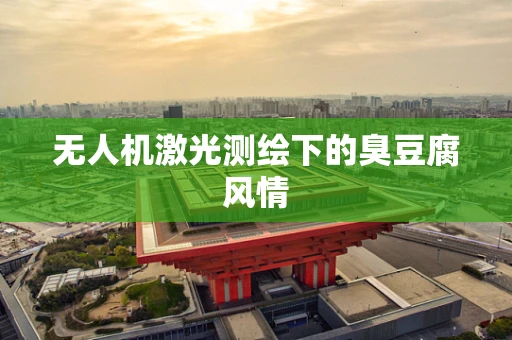 无人机激光测绘下的臭豆腐风情