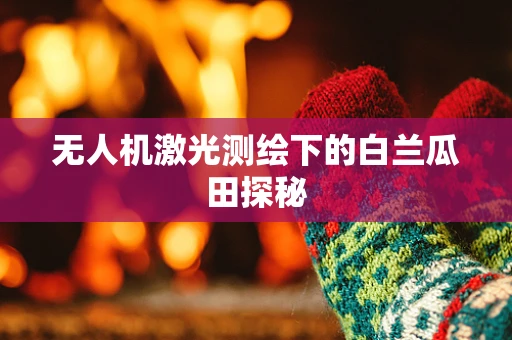 无人机激光测绘下的白兰瓜田探秘