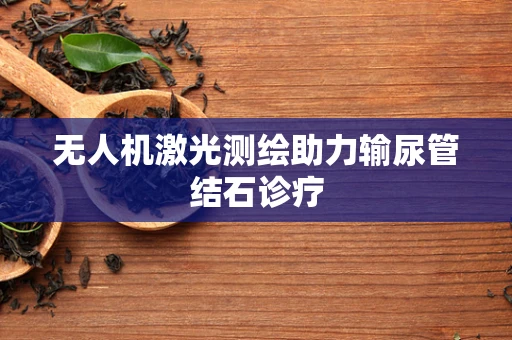 无人机激光测绘助力输尿管结石诊疗