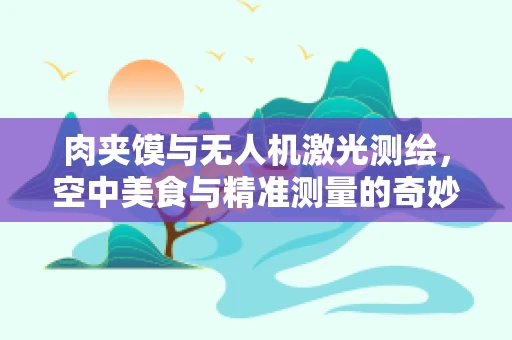 肉夹馍与无人机激光测绘，空中美食与精准测量的奇妙碰撞