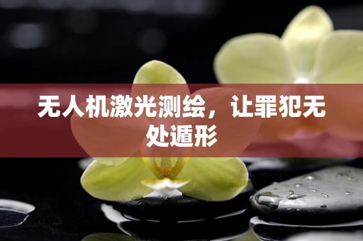 无人机激光测绘，让罪犯无处遁形