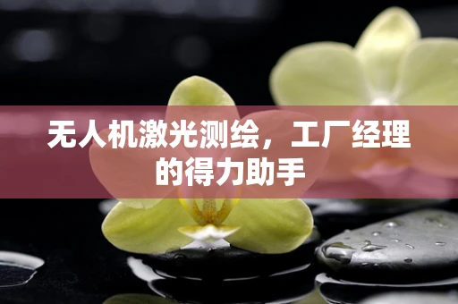 无人机激光测绘，工厂经理的得力助手