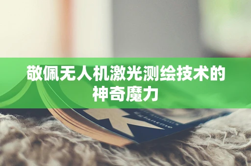 敬佩无人机激光测绘技术的神奇魔力