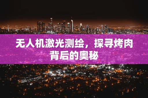 无人机激光测绘，探寻烤肉背后的奥秘