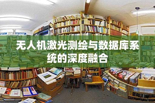 无人机激光测绘与数据库系统的深度融合