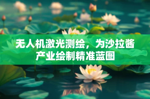 无人机激光测绘，为沙拉酱产业绘制精准蓝图