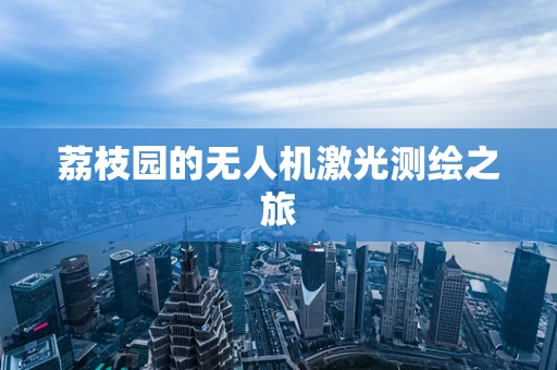 荔枝园的无人机激光测绘之旅