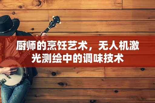 厨师的烹饪艺术，无人机激光测绘中的调味技术
