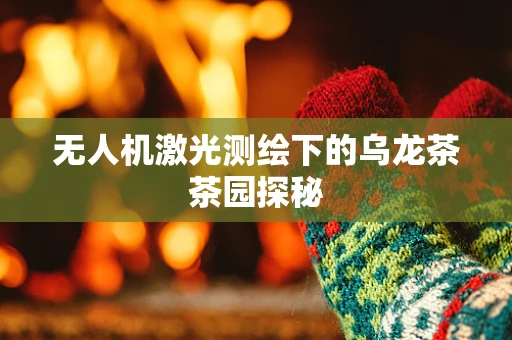 无人机激光测绘下的乌龙茶茶园探秘
