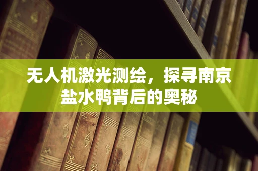 无人机激光测绘，探寻南京盐水鸭背后的奥秘
