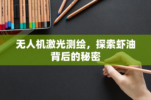 无人机激光测绘，探索虾油背后的秘密