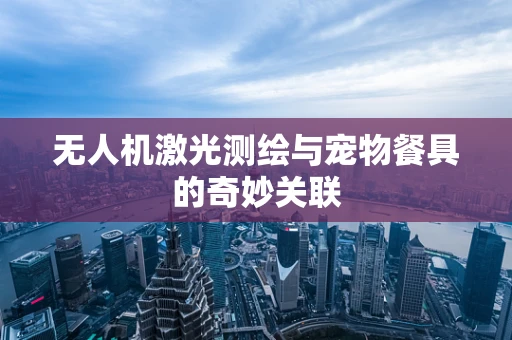 无人机激光测绘与宠物餐具的奇妙关联