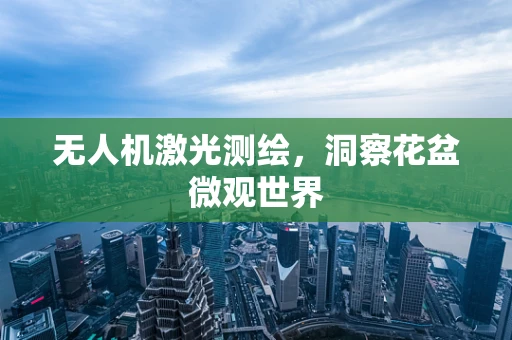 无人机激光测绘，洞察花盆微观世界