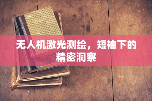 无人机激光测绘，短袖下的精密洞察