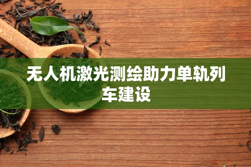 无人机激光测绘助力单轨列车建设