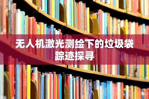 无人机激光测绘下的垃圾袋踪迹探寻