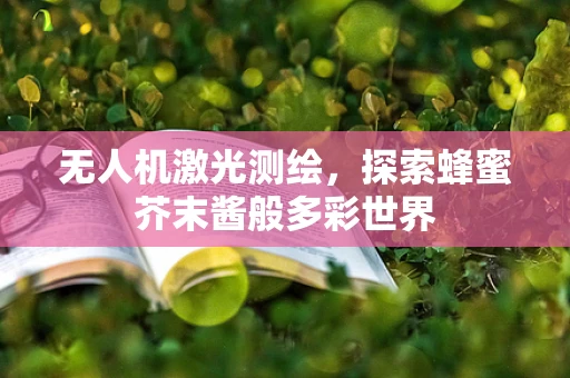 无人机激光测绘，探索蜂蜜芥末酱般多彩世界