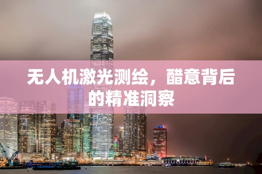 无人机激光测绘，醋意背后的精准洞察