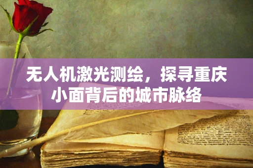 无人机激光测绘，探寻重庆小面背后的城市脉络