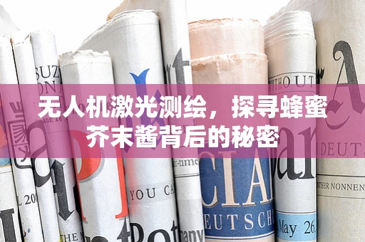 无人机激光测绘，探寻蜂蜜芥末酱背后的秘密