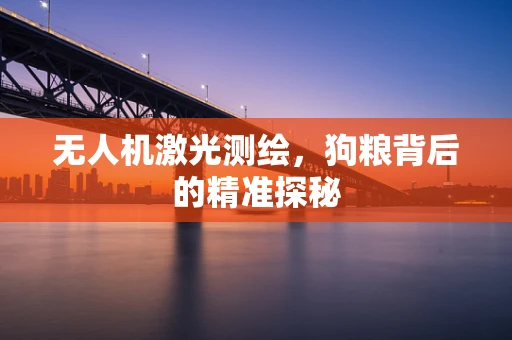 无人机激光测绘，狗粮背后的精准探秘