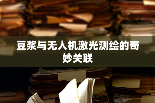 豆浆与无人机激光测绘的奇妙关联