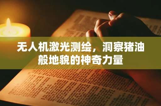 无人机激光测绘，洞察猪油般地貌的神奇力量