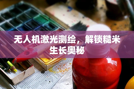 无人机激光测绘，解锁糙米生长奥秘