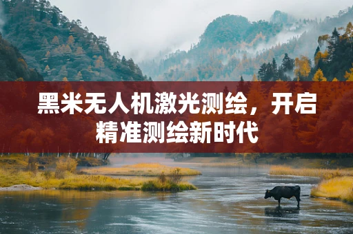 黑米无人机激光测绘，开启精准测绘新时代
