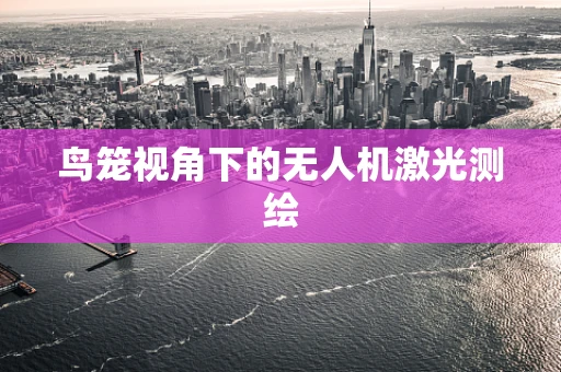鸟笼视角下的无人机激光测绘