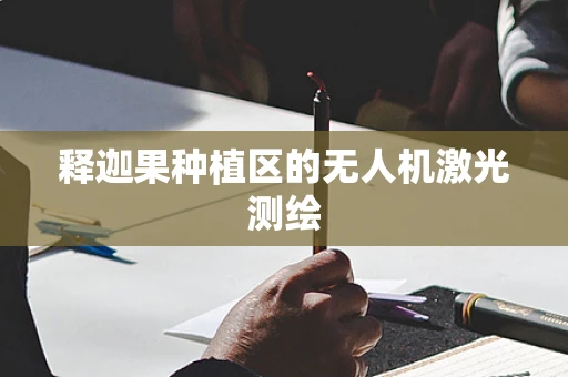 释迦果种植区的无人机激光测绘