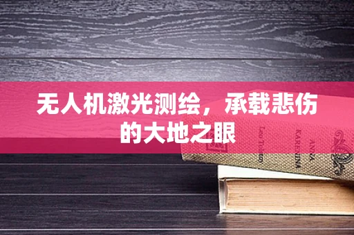 无人机激光测绘，承载悲伤的大地之眼