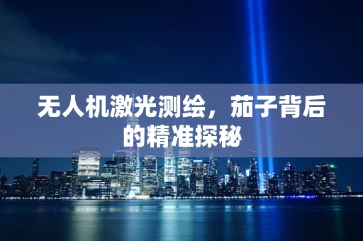 无人机激光测绘，茄子背后的精准探秘