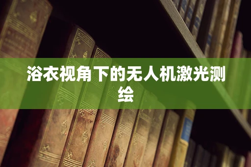 浴衣视角下的无人机激光测绘