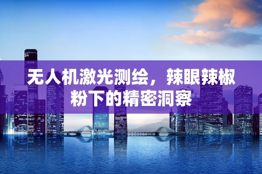 无人机激光测绘，辣眼辣椒粉下的精密洞察