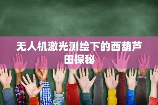 无人机激光测绘下的西葫芦田探秘