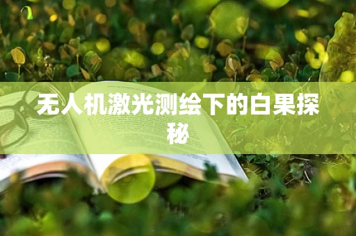 无人机激光测绘下的白果探秘