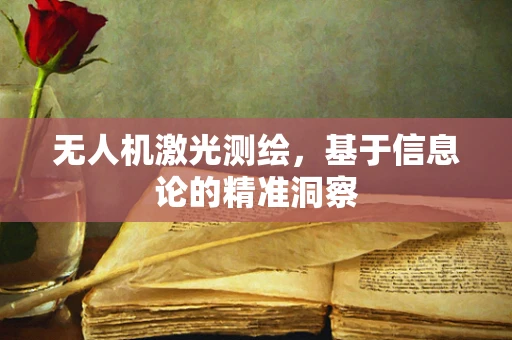 无人机激光测绘，基于信息论的精准洞察