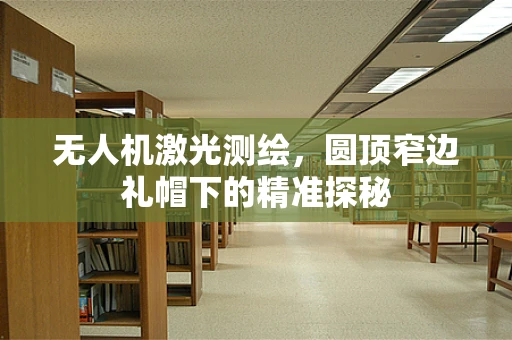无人机激光测绘，圆顶窄边礼帽下的精准探秘
