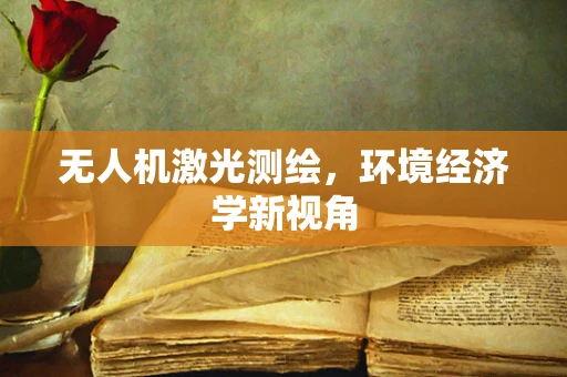 无人机激光测绘，环境经济学新视角