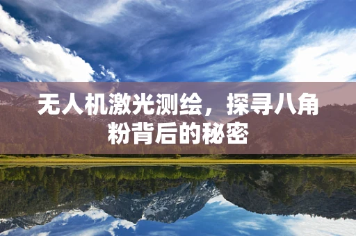 无人机激光测绘，探寻八角粉背后的秘密