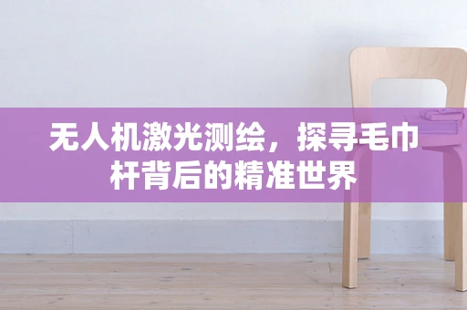 无人机激光测绘，探寻毛巾杆背后的精准世界