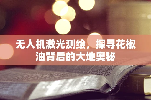无人机激光测绘，探寻花椒油背后的大地奥秘