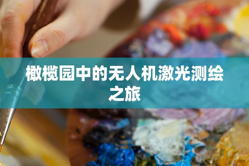 橄榄园中的无人机激光测绘之旅