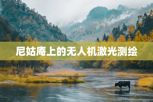 尼姑庵上的无人机激光测绘