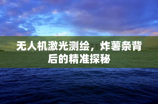 无人机激光测绘，炸薯条背后的精准探秘