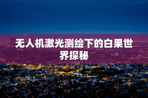 无人机激光测绘下的白果世界探秘