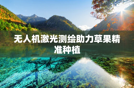 无人机激光测绘助力草果精准种植