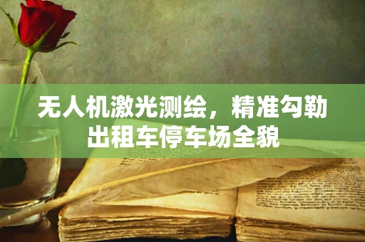 无人机激光测绘，精准勾勒出租车停车场全貌