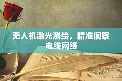 无人机激光测绘，精准洞察电线网络